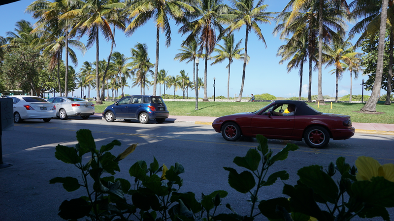 Illustration for article titled Florida, Seen Through The Eyes Of A Car Enthusiast